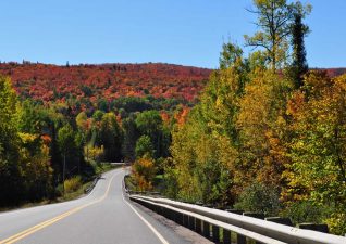 searchmont_fallcolours_hwy556