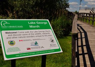 echo-bay-lakegeorge-trail-signage