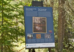 mississagi-aubreyfalls-gof7-panel