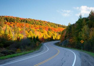 searchmont-fall-colours-hwy556