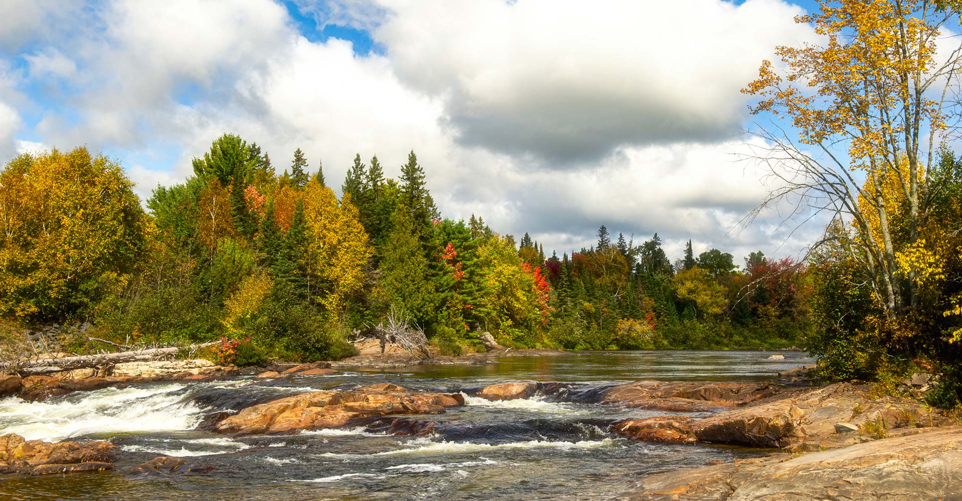 Algoma_Stimpson_LittleWhiteRiver_9856