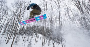 colinfield-bellevuevalley-skiing