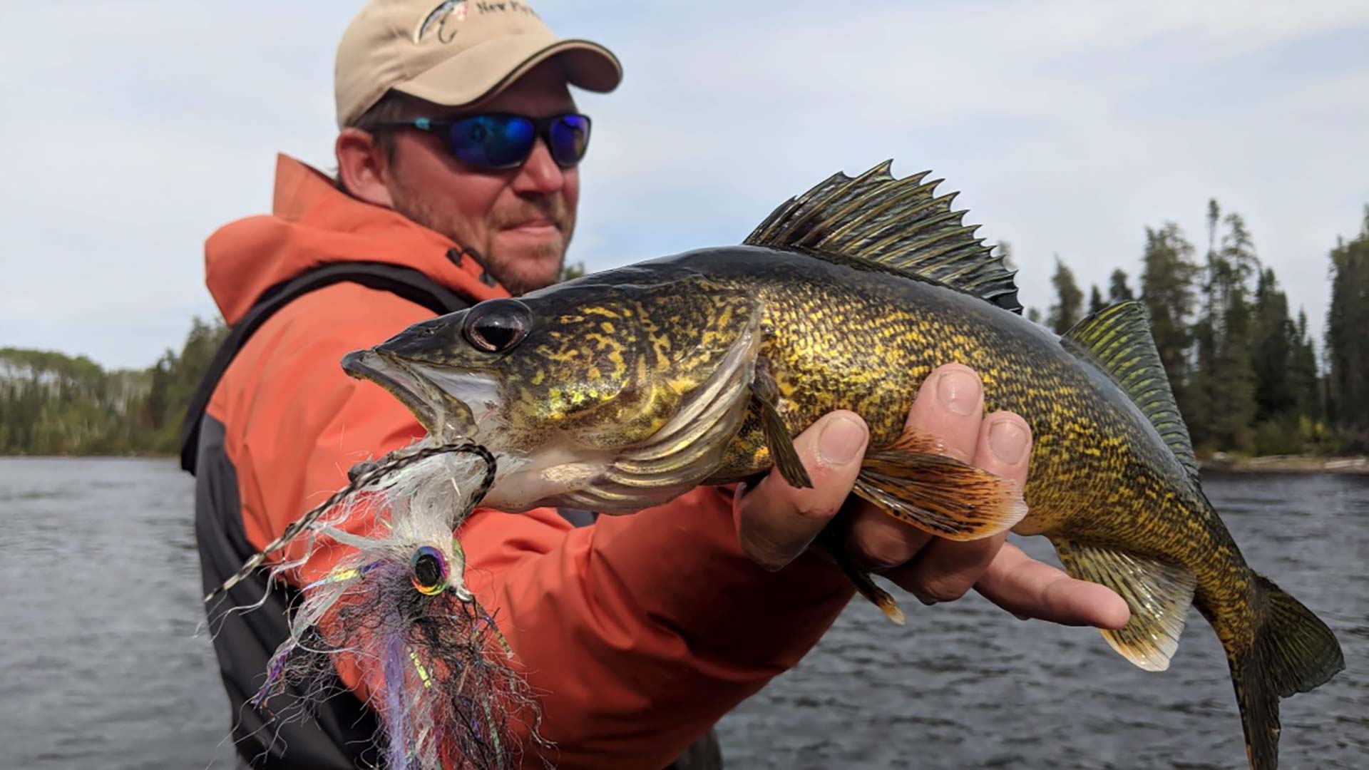 algoma-walleye-on-the-fly