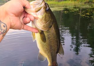 LauzonEast002