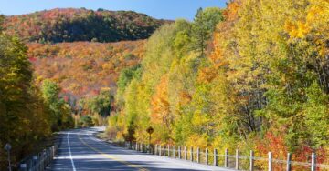 fall colour drive hwy 129