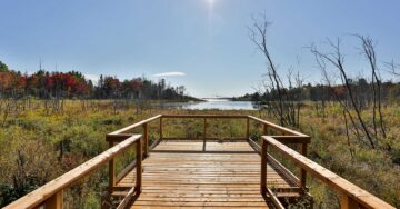 vknapp-thessalon-trail
