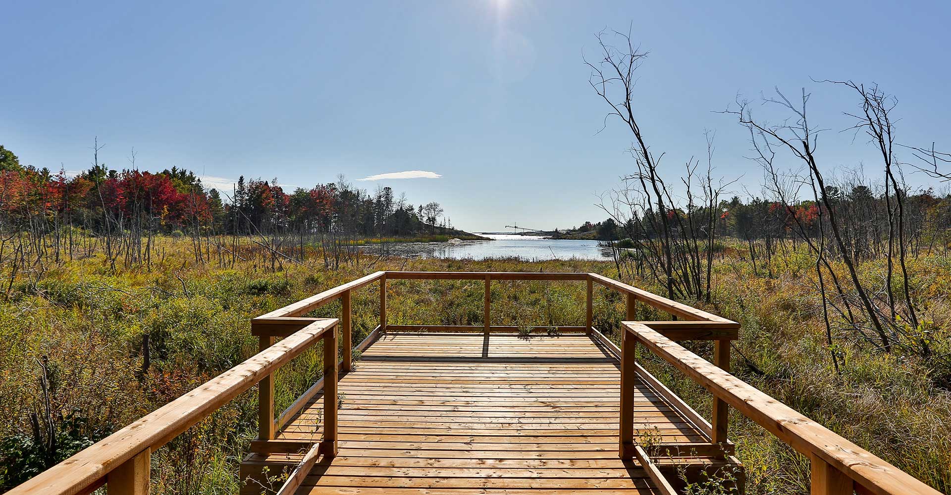 vknapp-thessalon-trail