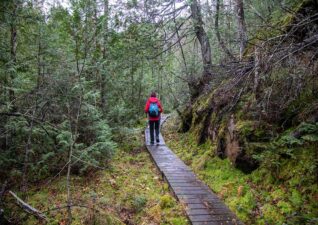 latefall-hiking