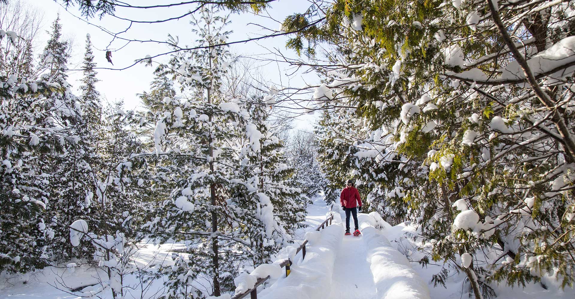 snowshoe-hiawatha
